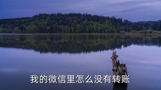我的微信里怎么沒(méi)有轉(zhuǎn)賬