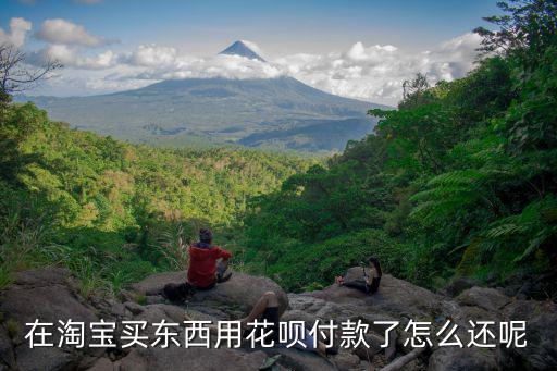 怎么還淘寶花唄的錢嗎，我在淘寶上買了倆件東西但是退了一件怎么還花唄的錢