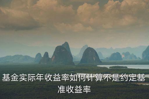 實際年報酬率怎么看，實際年收益率