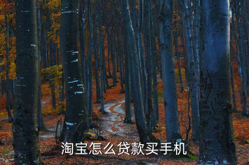 淘寶怎么貸款買手機(jī)