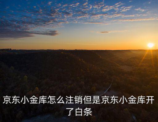 京東小金庫怎么關(guān)掉，京東小金庫以前設(shè)的工資理財如何取消
