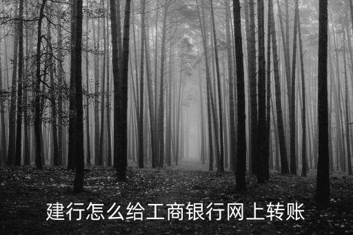 建行怎么給工商銀行網(wǎng)上轉(zhuǎn)賬