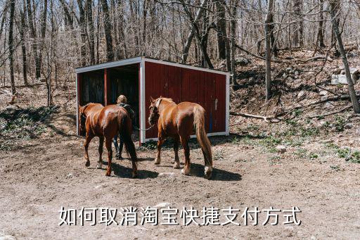 淘寶快捷支付怎么關(guān)，如何取消淘寶快捷支付方式