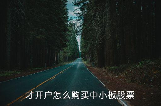 怎么買賣中小板板股票，中小板股怎么買
