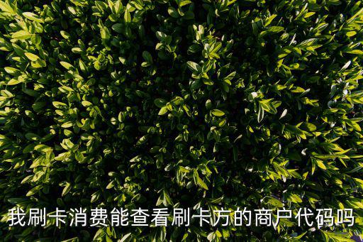 刷卡商戶代碼怎么查，怎么通過(guò)農(nóng)行刷卡消費(fèi)商鋪代碼查詢到商鋪位置