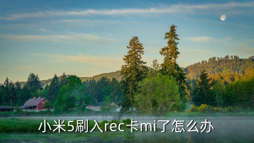 小米手機刷臉卡怎么辦啊，小米note刷機刷的很卡怎么辦