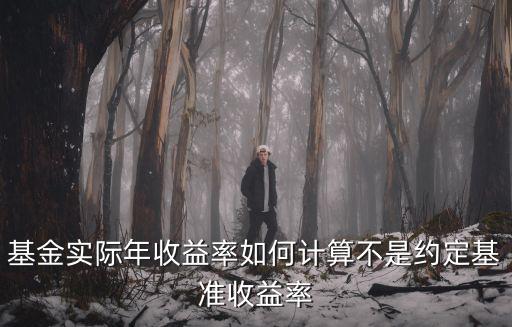 基金實(shí)際年收益率如何計(jì)算不是約定基準(zhǔn)收益率