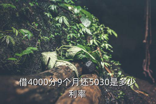 借4000分9個(gè)月還5030是多少利率