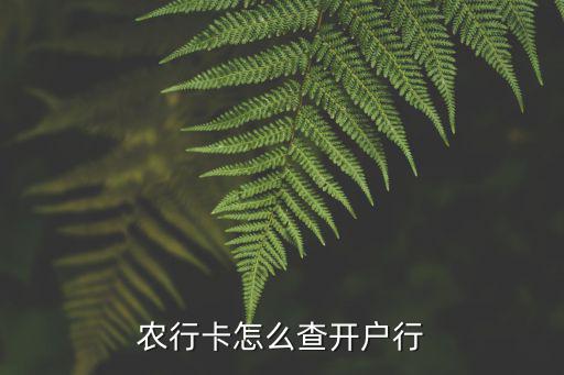 農(nóng)行卡怎么查開戶行