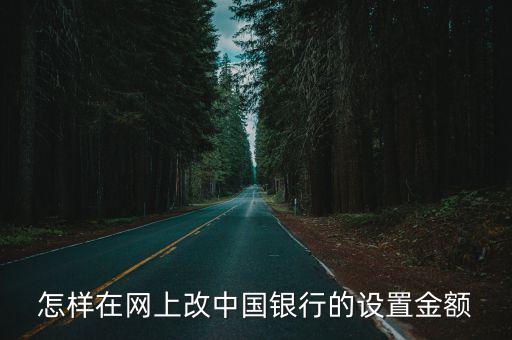 怎樣在網(wǎng)上改中國銀行的設(shè)置金額
