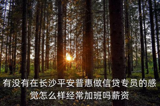 有沒有在長(zhǎng)沙平安普惠做信貸專員的感覺怎么樣經(jīng)常加班嗎薪資