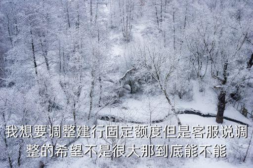 我想要調(diào)整建行固定額度但是客服說調(diào)整的希望不是很大那到底能不能