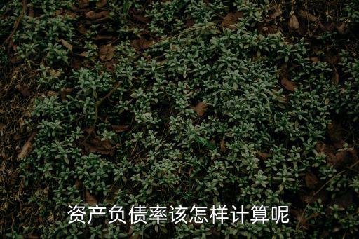 怎么算負債率，資產(chǎn)負債率該怎樣計算呢