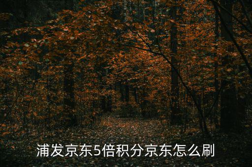 浦發(fā)京東5倍積分京東怎么刷