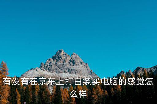 分期買電腦京東怎么樣，在京東商城辦理筆記本分期付款服務(wù)可靠嗎為什么