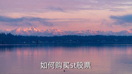 風(fēng)險警示股票怎么買，如何在海通證卷做風(fēng)險警示股票買入