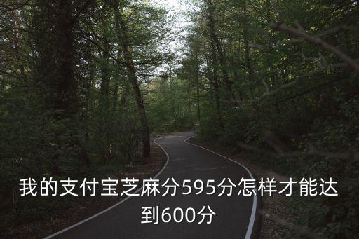我的支付寶芝麻分595分怎樣才能達到600分