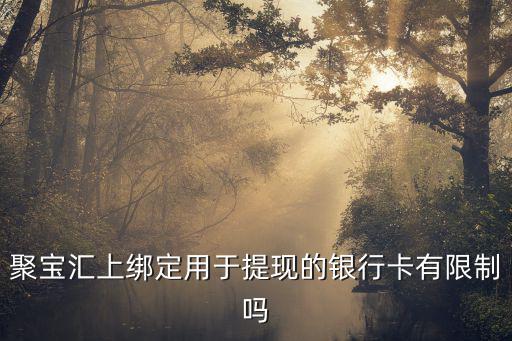 聚寶匯上綁定用于提現(xiàn)的銀行卡有限制嗎