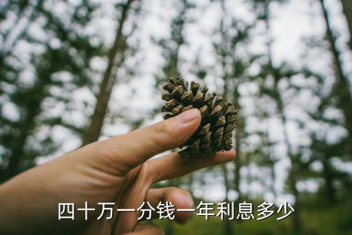 四十萬一分錢一年利息多少