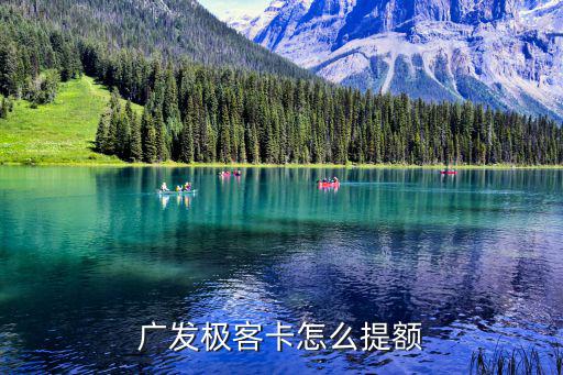 廣發(fā)極客卡怎么提額