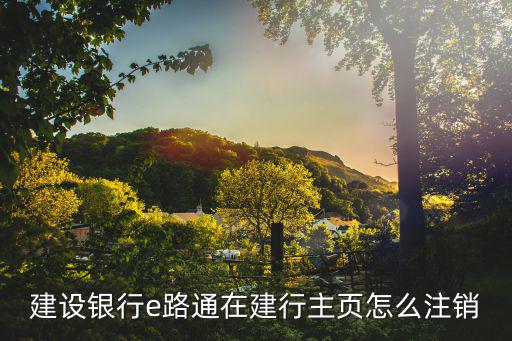 建行龍卡e付卡怎么注銷，建設銀行e路通在建行主頁怎么注銷