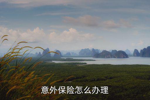 怎么辦意外保險，意外保險怎么辦理