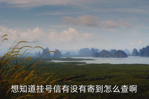 想知道掛號信有沒有寄到怎么查啊