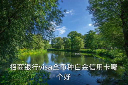 招商銀行visa全幣種白金信用卡哪個好