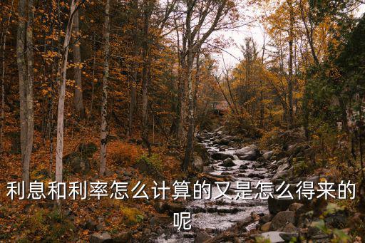 利息和利率怎么計(jì)算的又是怎么得來(lái)的呢