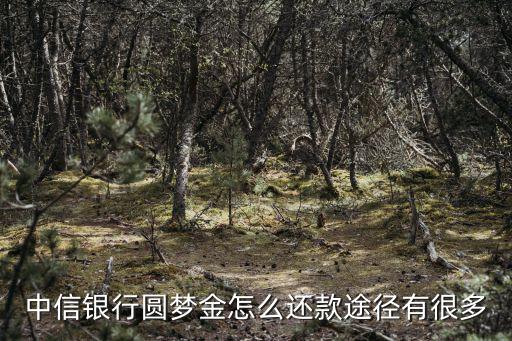 圓夢金分期后怎么還款，中信信用卡圓夢金怎樣還款的