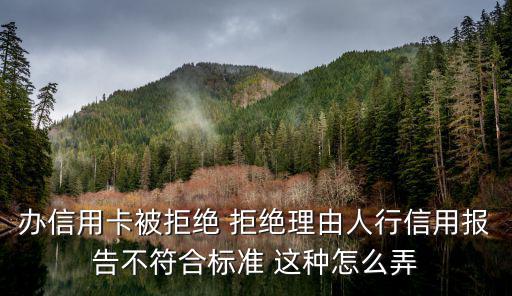 辦信用卡被拒絕 拒絕理由人行信用報(bào)告不符合標(biāo)準(zhǔn) 這種怎么弄