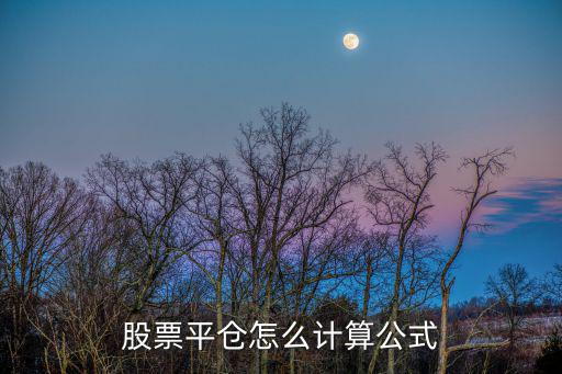 股票平倉怎么計(jì)算公式