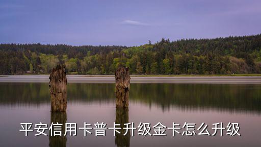 平安普卡怎么升級(jí)，平安銀行的普通用戶可以升級(jí)為高級(jí)用戶嗎