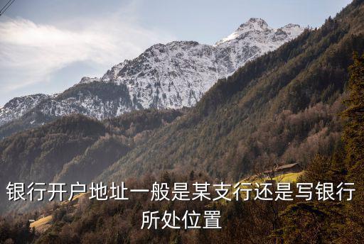 銀行開戶地址一般是某支行還是寫銀行所處位置