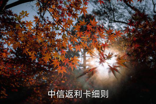 中信返利卡細(xì)則