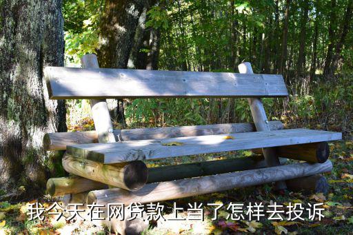 我今天在網(wǎng)貸款上當(dāng)了怎樣去投訴