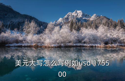 美金支票大寫怎么寫，美元23000支票大寫怎么寫