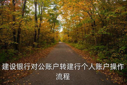 建設(shè)銀行對(duì)公賬戶轉(zhuǎn)建行個(gè)人賬戶操作流程