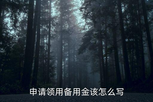 司機(jī)備用金怎么寫申請表，公帳向銀行提現(xiàn)備用金申請表該怎么寫望各位指點(diǎn)謝謝