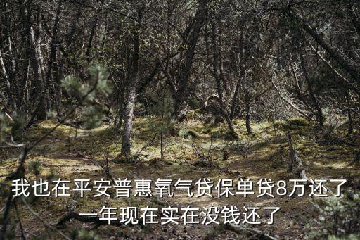 我也在平安普惠氧氣貸保單貸8萬(wàn)還了一年現(xiàn)在實(shí)在沒(méi)錢(qián)還了