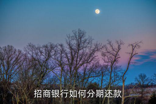 招商銀行如何分期還款