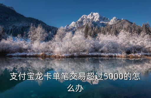 支付寶龍卡單筆交易超過5000的怎么辦