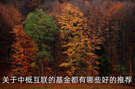 關(guān)于中概互聯(lián)的基金都有哪些好的推薦