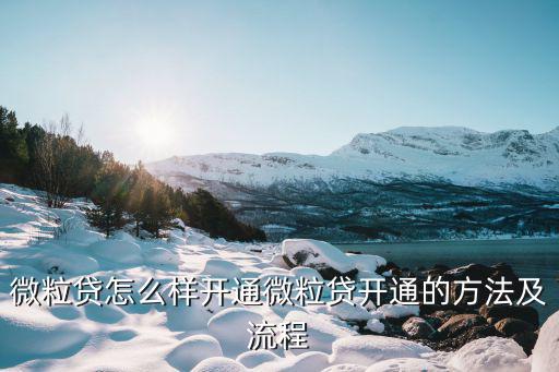 微粒貸怎么樣開(kāi)通微粒貸開(kāi)通的方法及流程