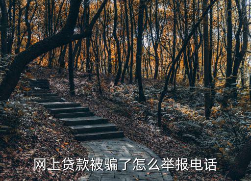 舉報網(wǎng)上借款怎么舉報，怎么舉報套路貸網(wǎng)上怎么報案