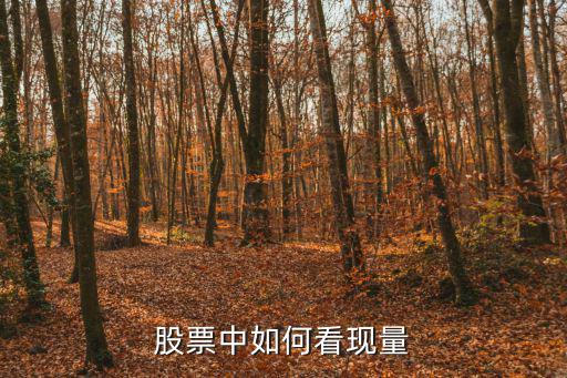股票中如何看現(xiàn)量