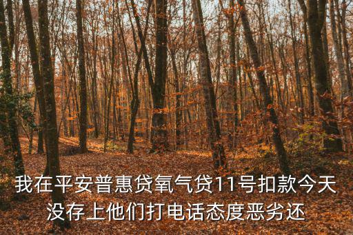 平安氧氣貸逾期怎么辦，我在平安普惠貸氧氣貸11號(hào)扣款今天沒(méi)存上他們打電話態(tài)度惡劣還
