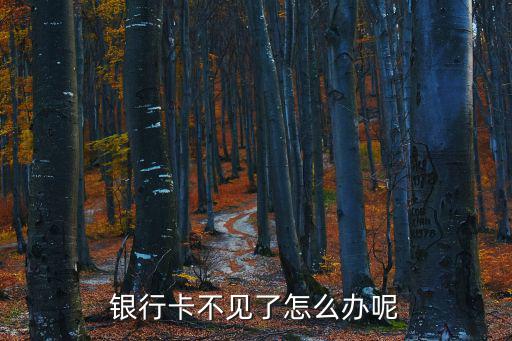 銀行卡不見(jiàn)了怎么辦呢