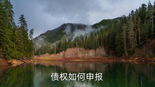 債權如何申報