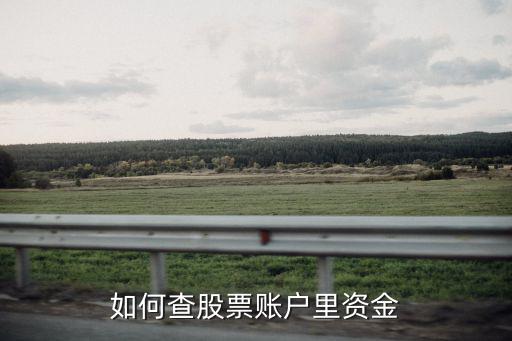 怎么查股票轉(zhuǎn)入資金，如何查股票賬戶里資金